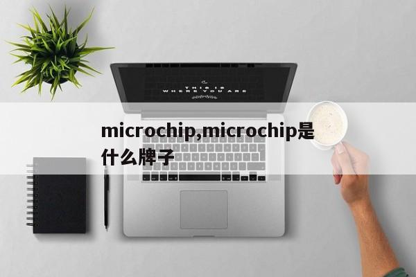 microchip,microchip是什么牌子