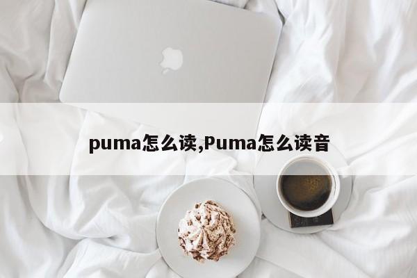 puma怎么读,Puma怎么读音